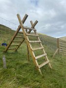 Tyndrum recce Leg 4 (10)