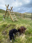 Tyndrum recce Leg 4 (11)
