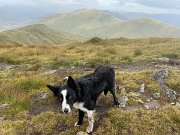 Tyndrum recce Leg 4 (2)