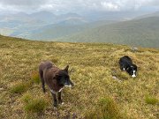 Tyndrum recce Leg 4 (4)