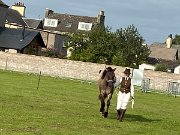 Stranraer show (3)
