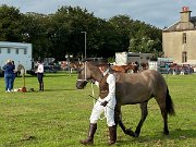 Stranraer show (4)
