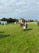Stranraer show (5)