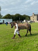 Stranraer show (6)