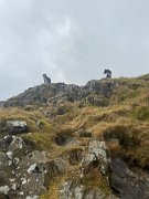 Lakes with Helen and Jo (3)