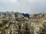 Lakes with Helen and Jo (4)