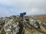 Lakes with Helen and Jo (5)