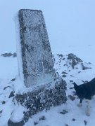 Two Merrick runs (12)