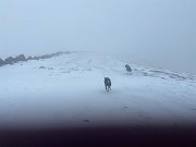 Two Merrick runs (8)