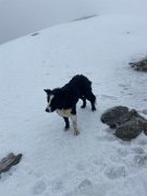 Day 3 Loch Treig loop ACW (1)