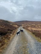 Day 3 Loch Treig loop ACW (14)