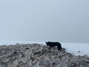 Day 3 Loch Treig loop ACW (4)