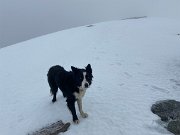 Day 3 Loch Treig loop ACW (5)