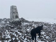 Merrick with dogs (3)