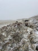Tyndrum with Emma (10)