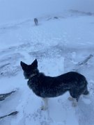 Tyndrum with Emma (12)