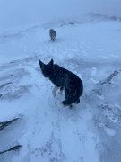 Tyndrum with Emma (13)