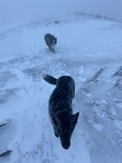 Tyndrum with Emma (14)