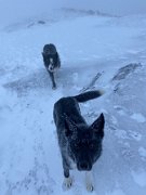 Tyndrum with Emma (15)