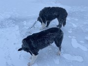Tyndrum with Emma (19)