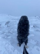 Tyndrum with Emma (20)
