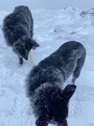 Tyndrum with Emma (21)