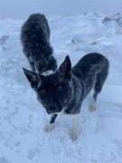 Tyndrum with Emma (23)