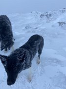 Tyndrum with Emma (24)