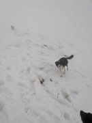 Tyndrum with Emma (8)