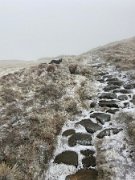 Tyndrum with Emma (9)
