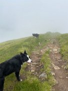 South Shiel out and back after Glamaig race (1)