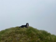 South Shiel out and back after Glamaig race (3)