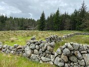 IMG_5819