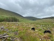 IMG_5820