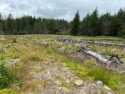IMG_5821