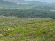 IMG_5824