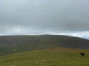 IMG_5825