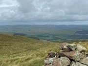 IMG_5831