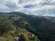 IMG_0528