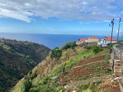 IMG_0529