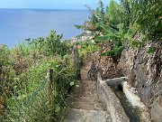 IMG_0530