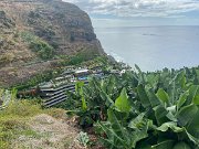 IMG_0532