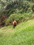 IMG_0550