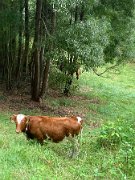 IMG_0551