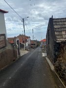 IMG_0554