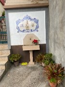 IMG_0557