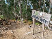 IMG_0565
