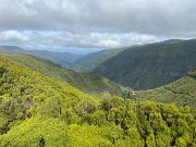 IMG_0567