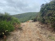 IMG_0572