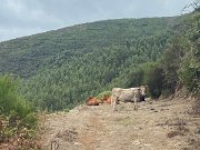 IMG_0573